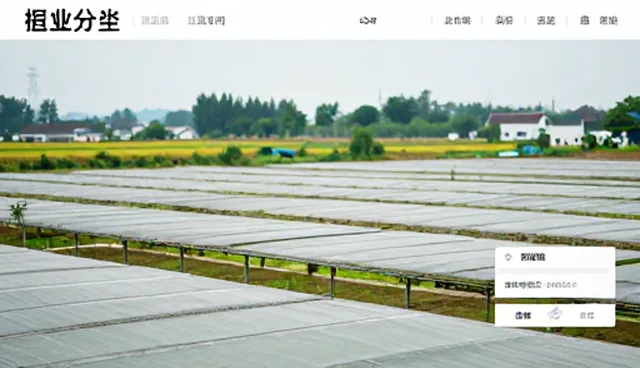 行业分类导航的适用条件与常见误区澄清