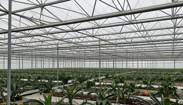 风险防控在信息查询平台中的适用边界